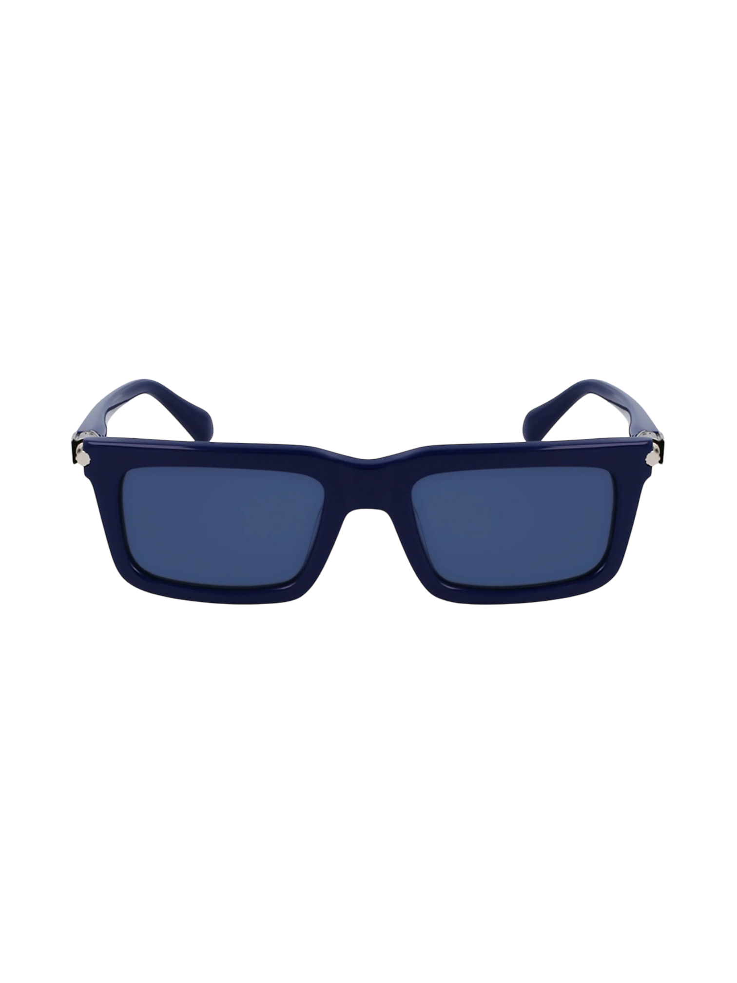 Ferragamo Prisma Modified Sunglasses