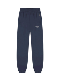 Represent спортивні штани